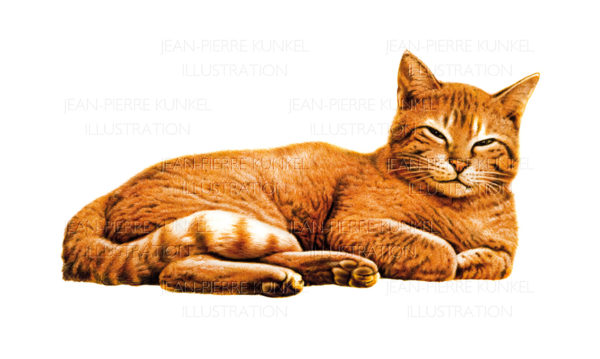 Katze 2
