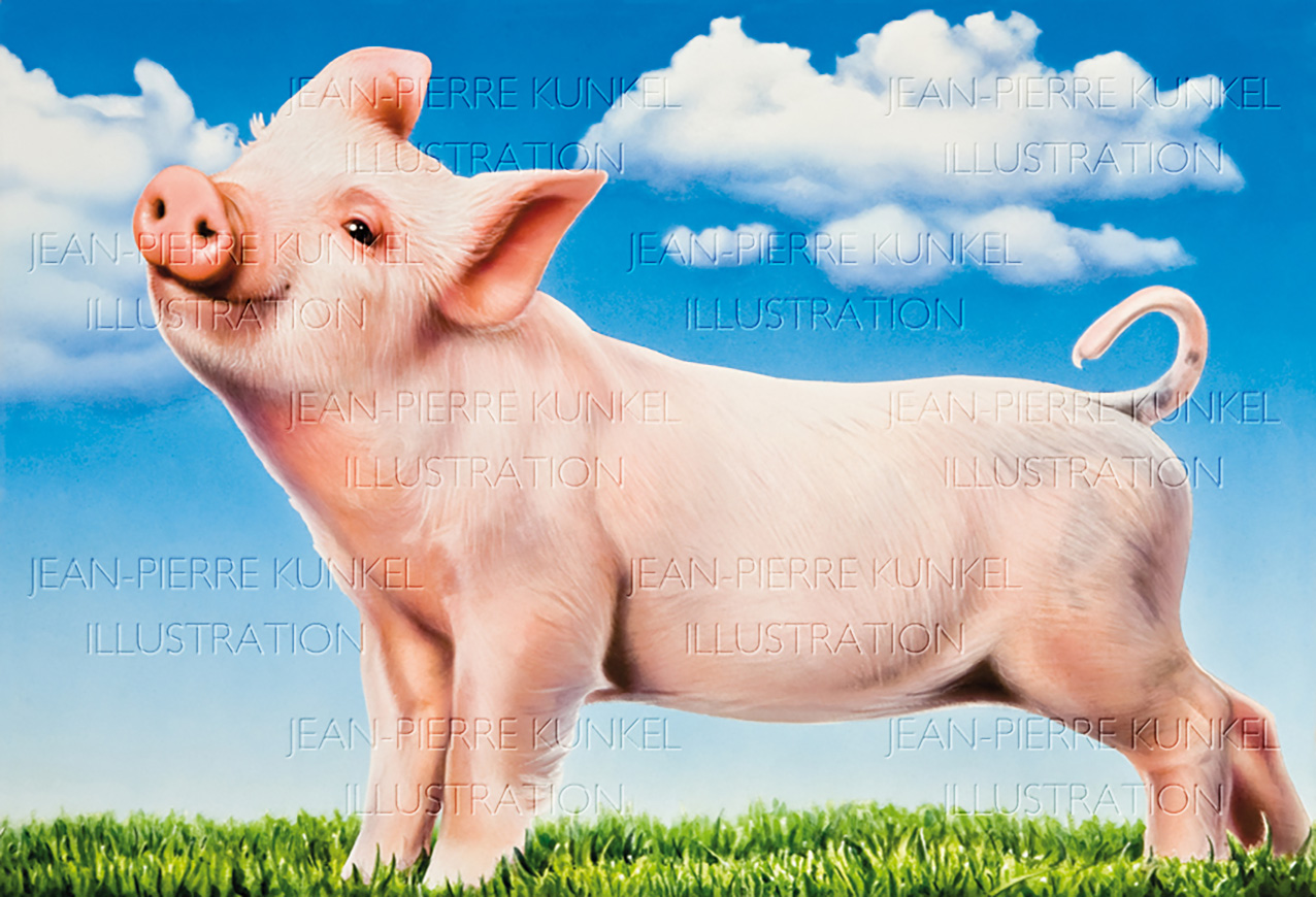 Ferkel