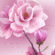 Magnolie