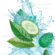 Frische Illustration