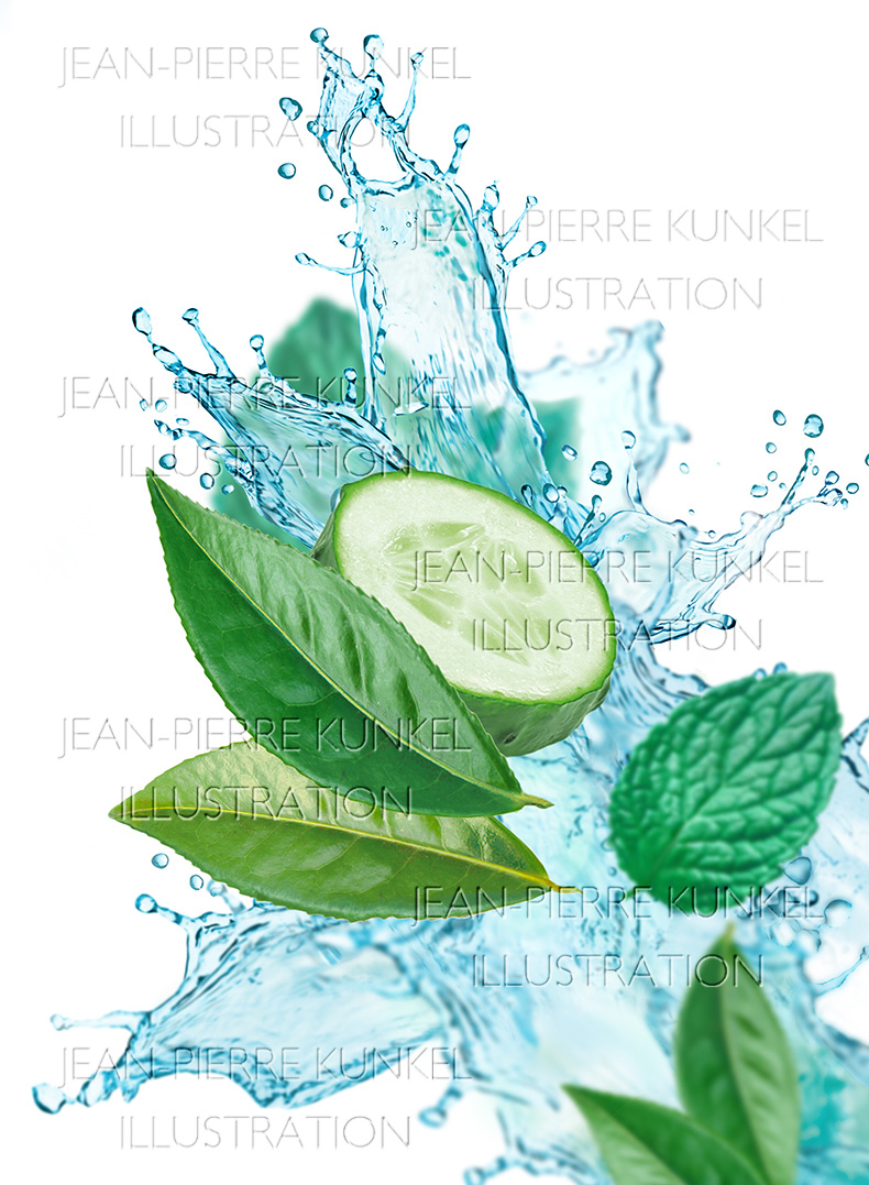 Frische Illustration