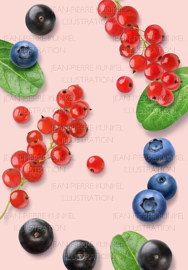 Beeren-Illustration