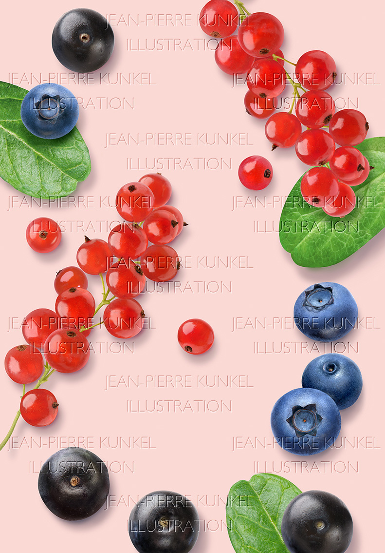Beeren-Illustration